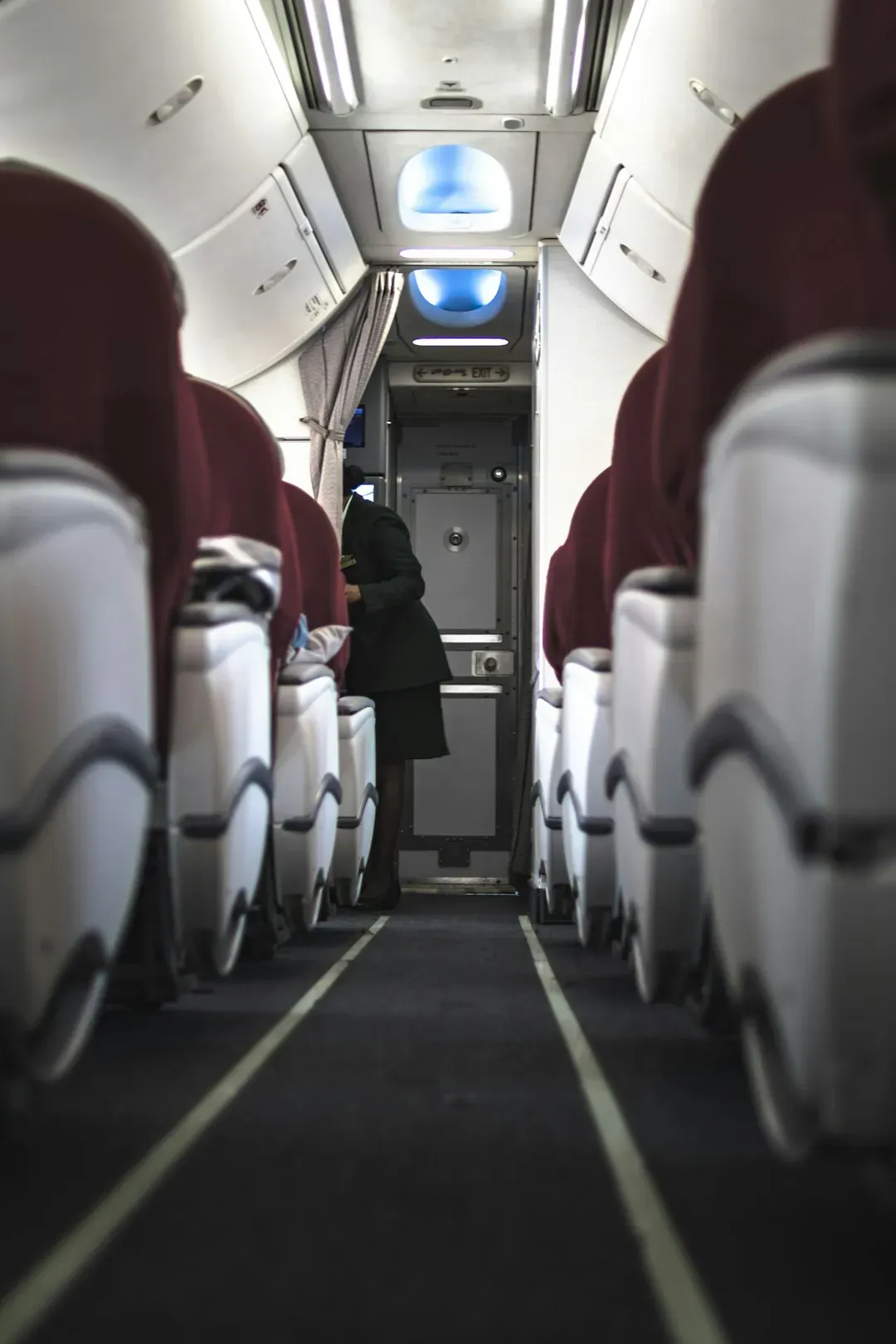 Bringing food that turns the whole cabin into a diner (Image Credits: Unsplash)
