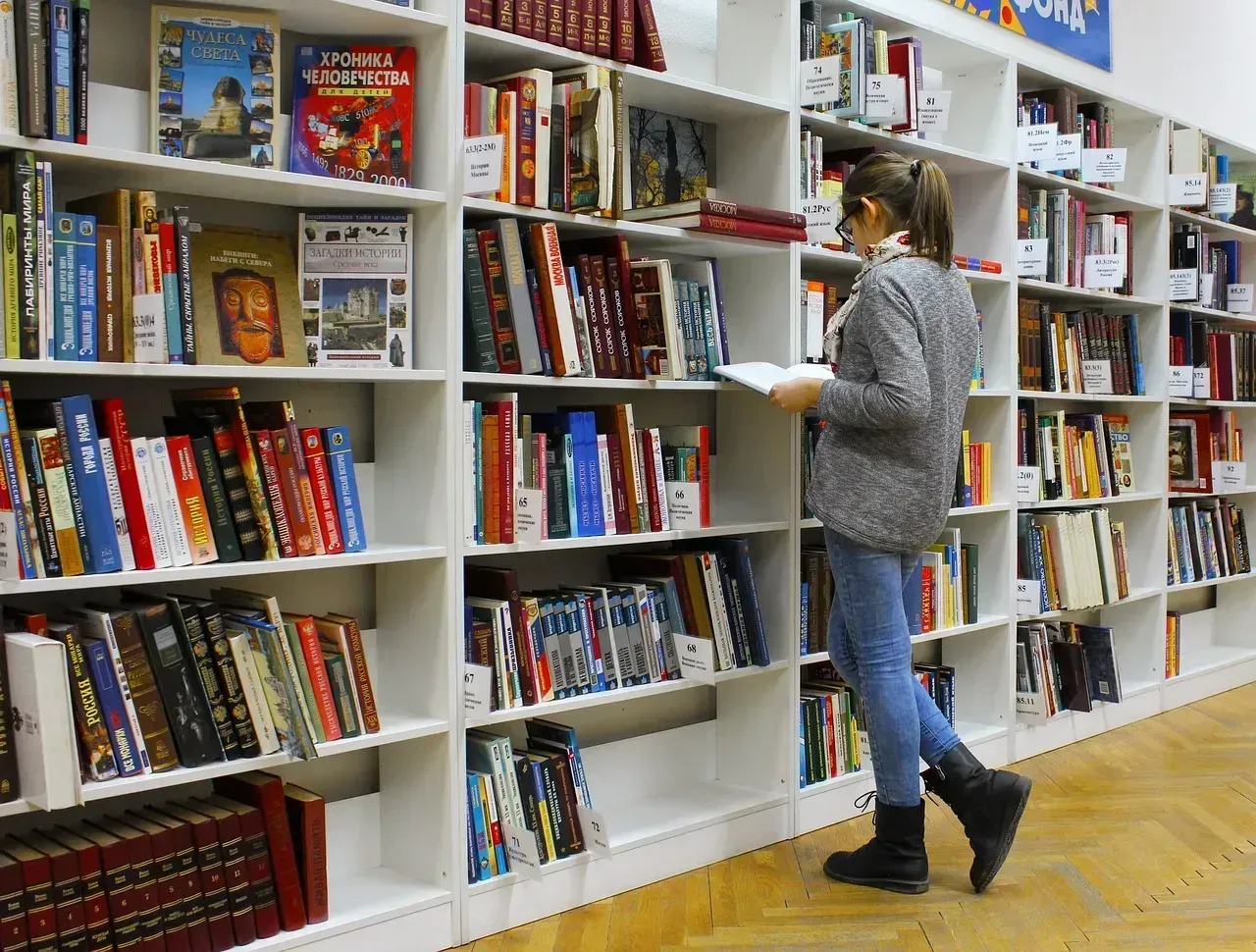 6. How to Use a Library's Catalog System (Image Credits: Pixabay)