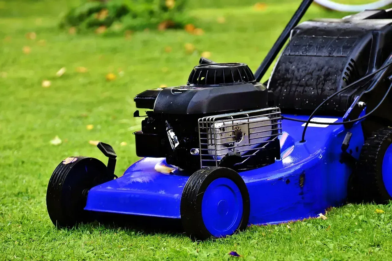 3. Ignoring Clump Formation on the Lawn Surface (Image Credits: Pixabay)