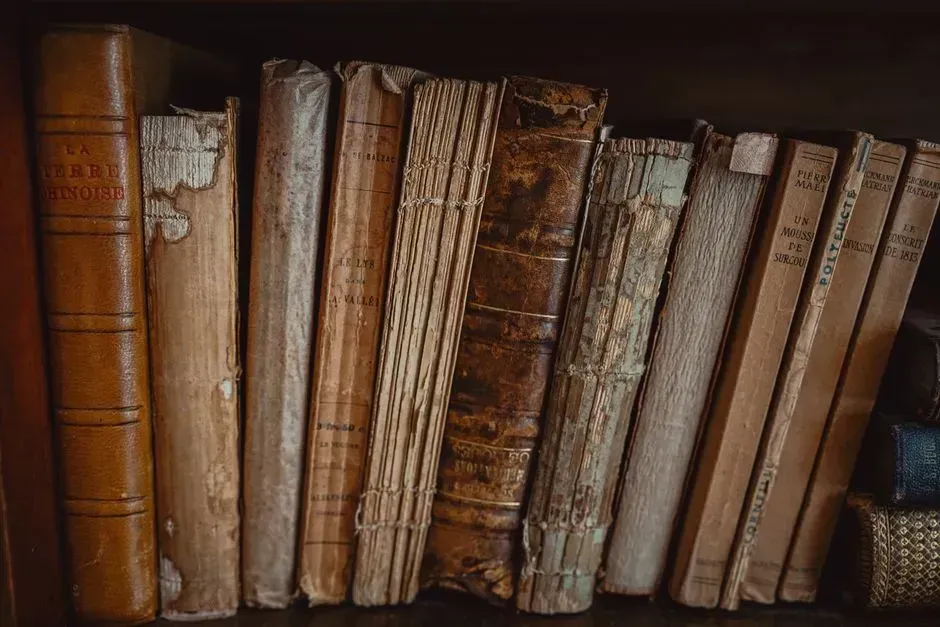 1. Books You Mean to Read Someday (Image Credits: Pexels)