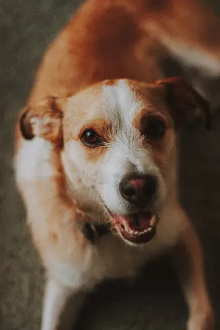 5. Gus - Friendly, Warm, and Pure Nostalgia (Image Credits: Pexels)