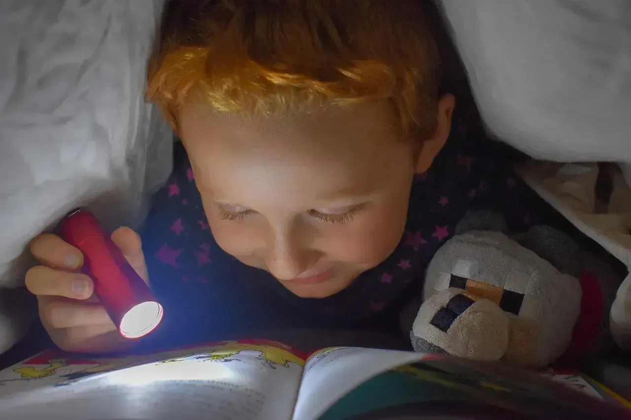 8. How to Entertain Themselves Without Power (Image Credits: Pixabay)