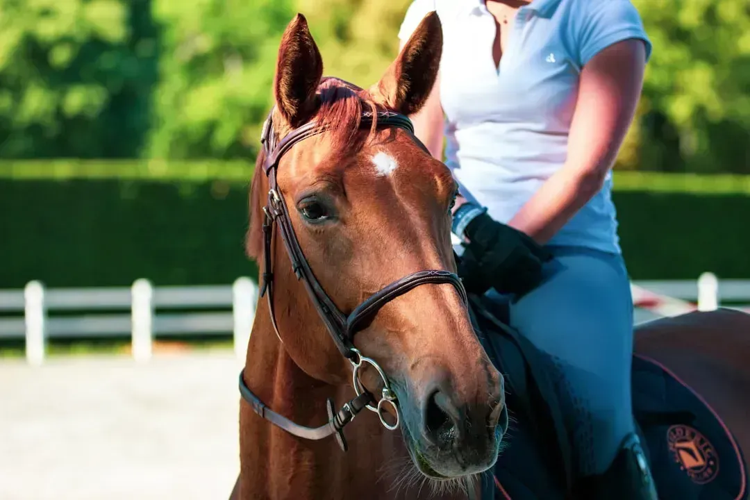 6. "Straight from the Horse's Mouth" (Image Credits: Unsplash)