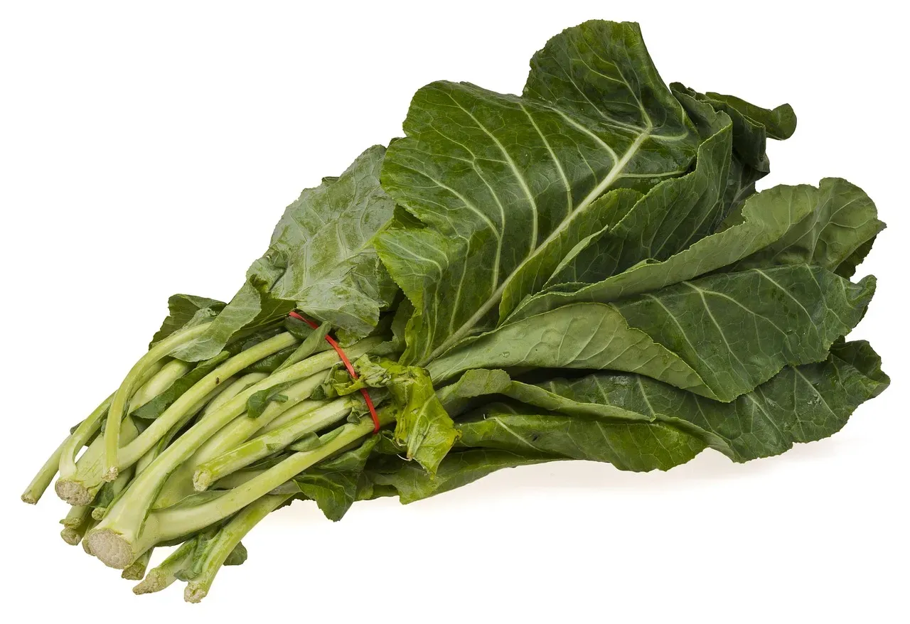 3. Collard Greens (Image Credits: Pixabay)