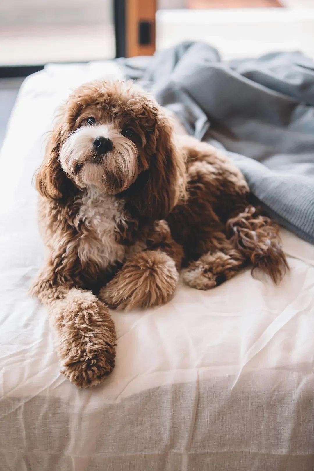 Arizona: rental flexibility and year-round outdoor time (Image Credits: Unsplash)