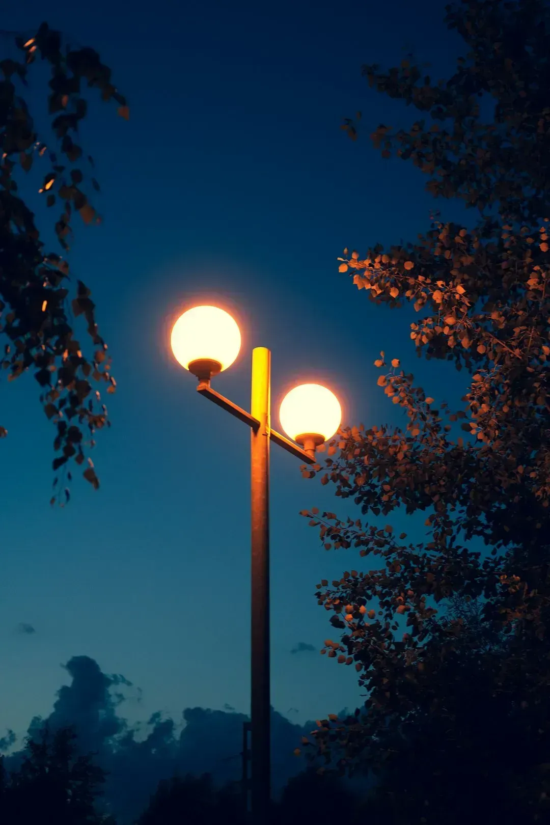 4. Dimming lights and screens in the evening (Image Credits: Unsplash)
