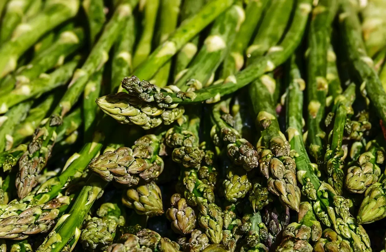 4. Asparagus (Image Credits: Pixabay)