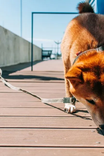 Exercise for the Mind Counts Too (Image Credits: Pexels)