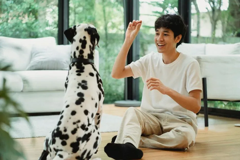 5. Settling down on command (Image Credits: Pexels)