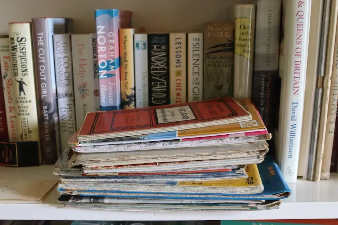 8. Stacks of Old Magazines, Newspapers, and Paper Clutter (Image Credits: Unsplash)