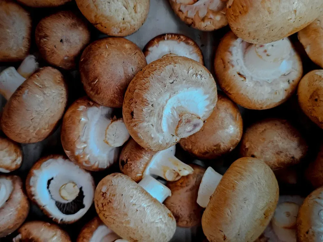 9. Mushrooms (Image Credits: Unsplash)
