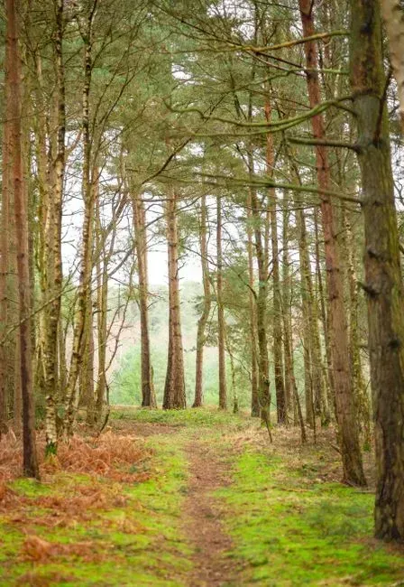 8. The Woodlands: Master-Planned and Family-Ready Near Houston (Image Credits: Pexels)