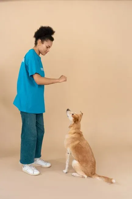 7. Using a dog's name as a warning (Image Credits: Pexels)