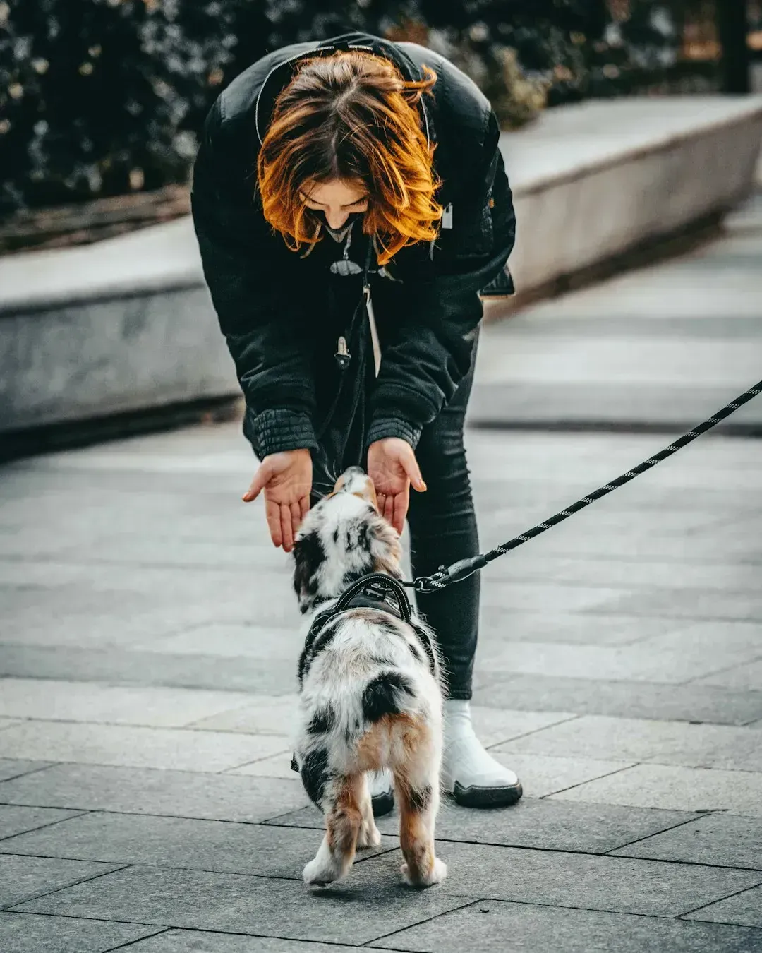 Willingness to Approach a Stranger (Image Credits: Unsplash)