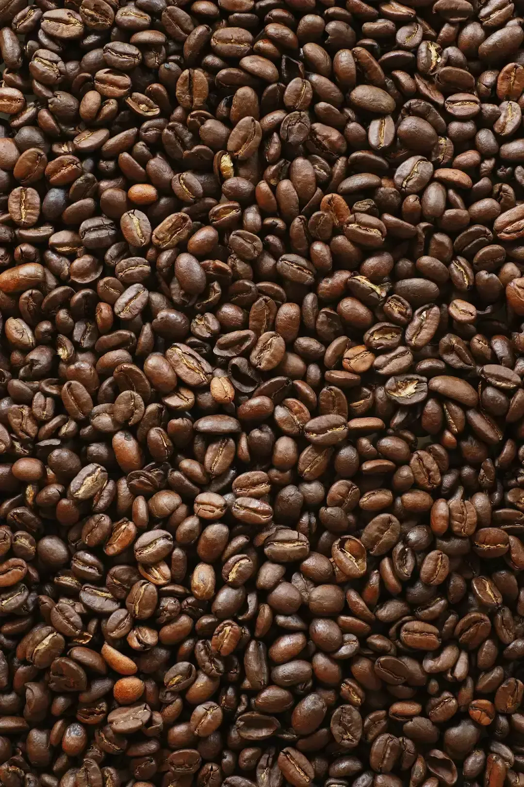 Ground Coffee and Coffee Beans (Image Credits: Unsplash)