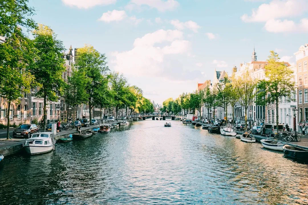 The Netherlands: A Friendly Round Up (Image Credits: Unsplash)