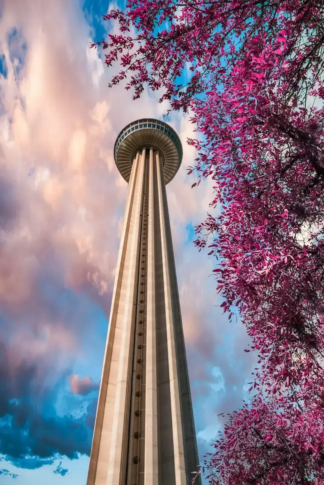 San Antonio, Texas (Image Credits: Unsplash)