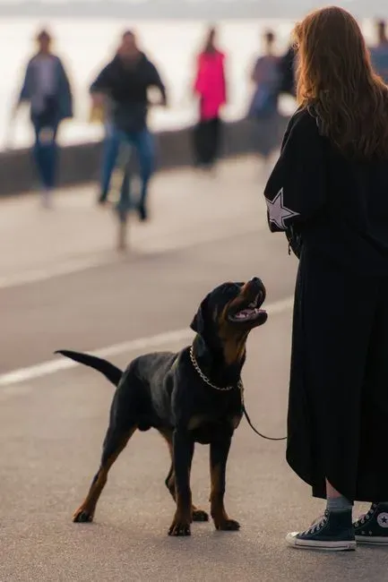 Checking In While Out and About (Image Credits: Pexels)