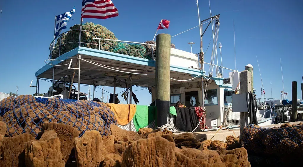 Tarpon Springs, Florida - A Slice of Greece on the Gulf Coast (watts photos1, Flickr, CC BY 2.0)