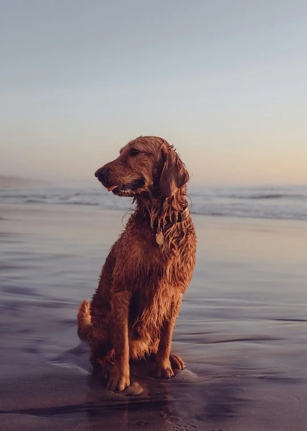 California: scale, sunshine, and workplace flexibility (Image Credits: Unsplash)
