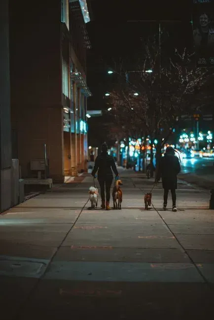 1. The evening walk around the block, no matter the weather (Image Credits: Pexels)