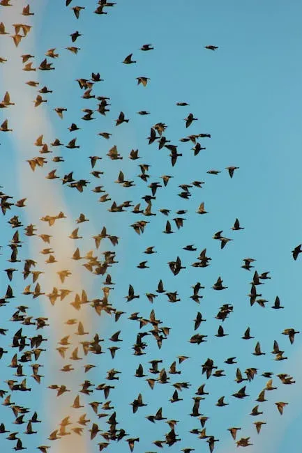 11. "Birds of a Feather Flock Together" (Image Credits: Pexels)