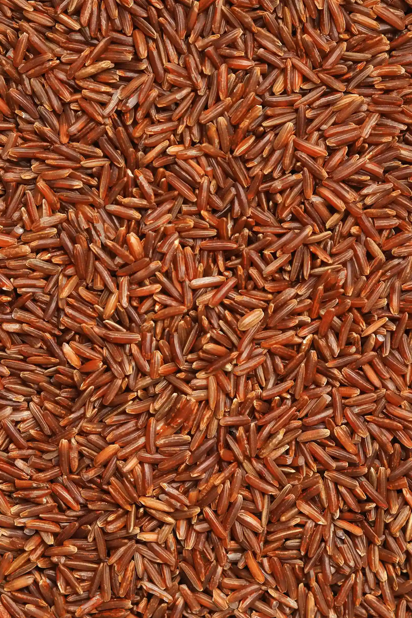 Long Grain Rice (Image Credits: Unsplash)