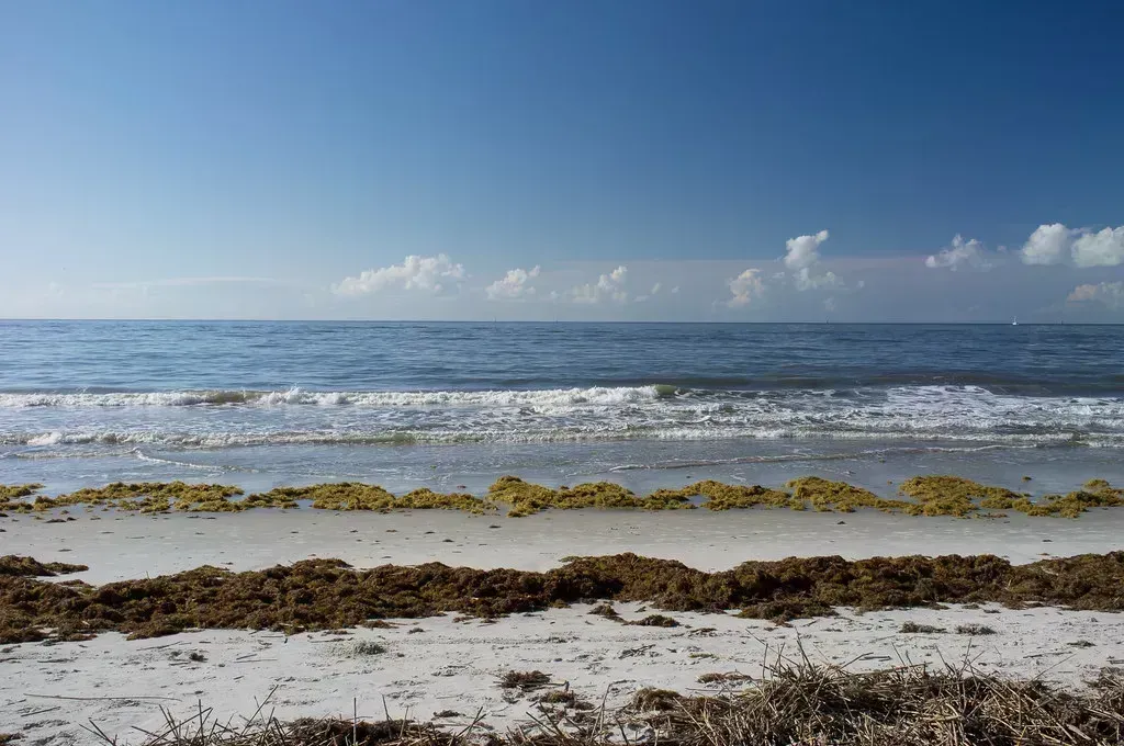 St. Simons Island, Georgia - Georgia's Golden Isle, Loved by Locals (ralph and jenny, Flickr, CC BY 2.0)