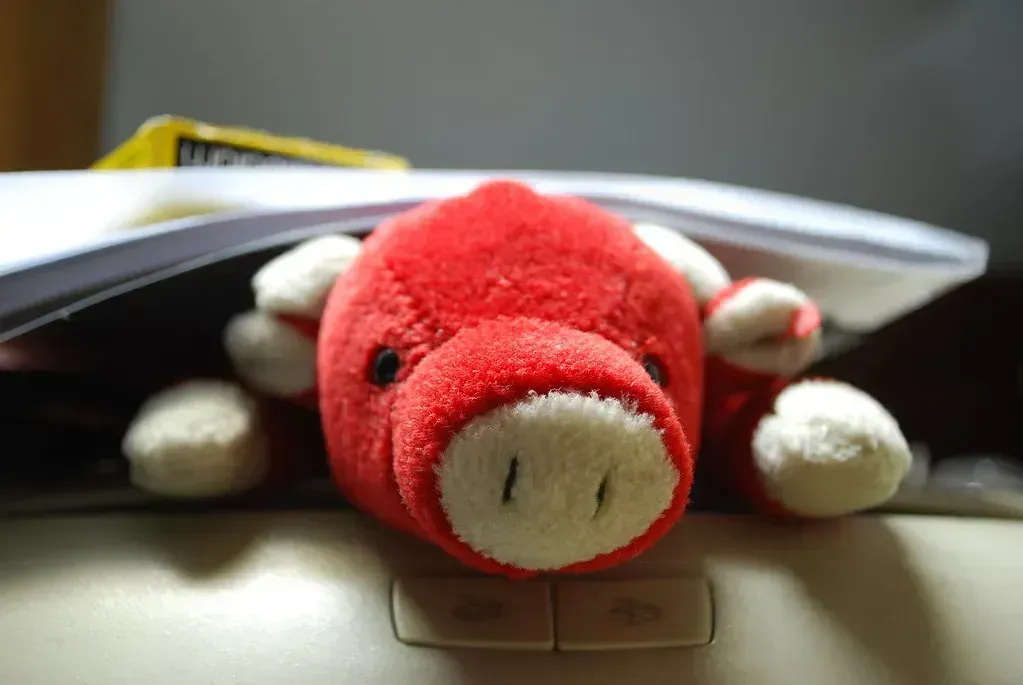 Beanie Babies: The Investment Strategy That Wasn't (gabohalili, Flickr, CC BY 2.0)