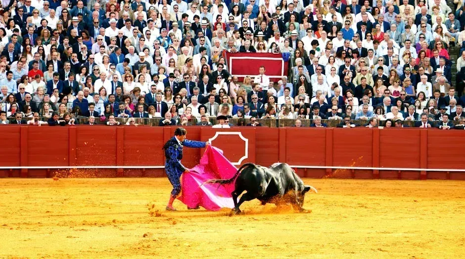 Bulls Are Enraged by the Color Red (Image Credits: Pexels)