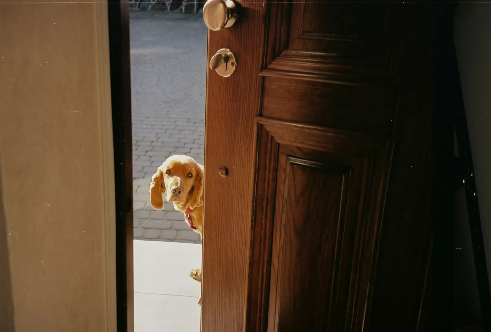 Close the Door Firmly When You Step Outside (Image Credits: Unsplash)