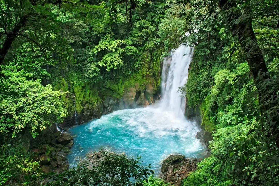 4. Costa Rica (Image Credits: Unsplash)