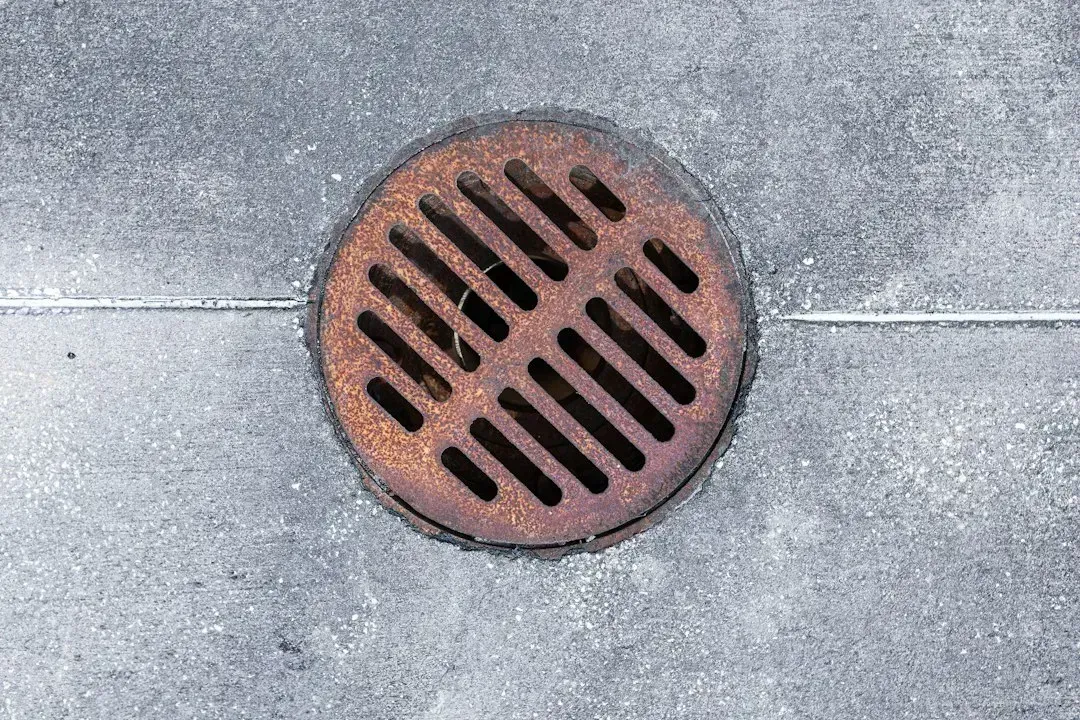 Ignoring the Drain Filter (Image Credits: Unsplash)