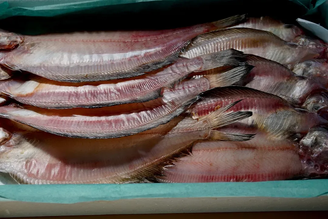 6. Discolored or Dried-Out Fillet Edges (Image Credits: Unsplash)
