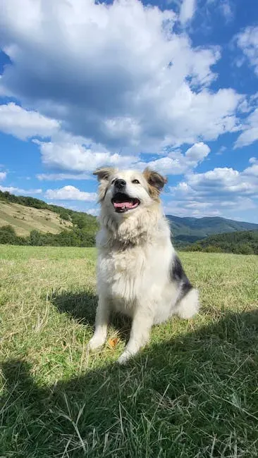 1. Hank - The Name That Jumped From 35th to 2nd Overnight (Image Credits: Pexels)