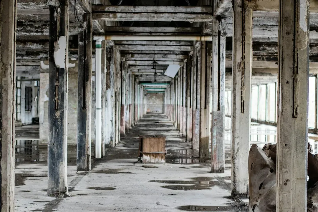 Scrap Lumber and Abandoned Project Supplies (Image Credits: Unsplash)