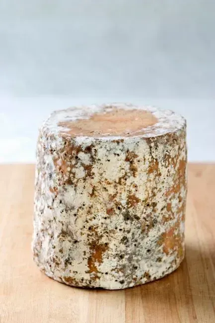 7. Hard Cheese With a Spot of Mold (Image Credits: Pexels)