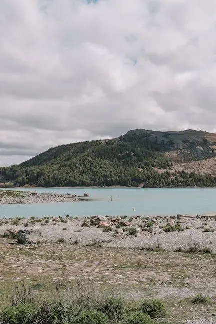 10. New Zealand - Low-Drama Friendliness That Feels Genuine (Image Credits: Pexels)