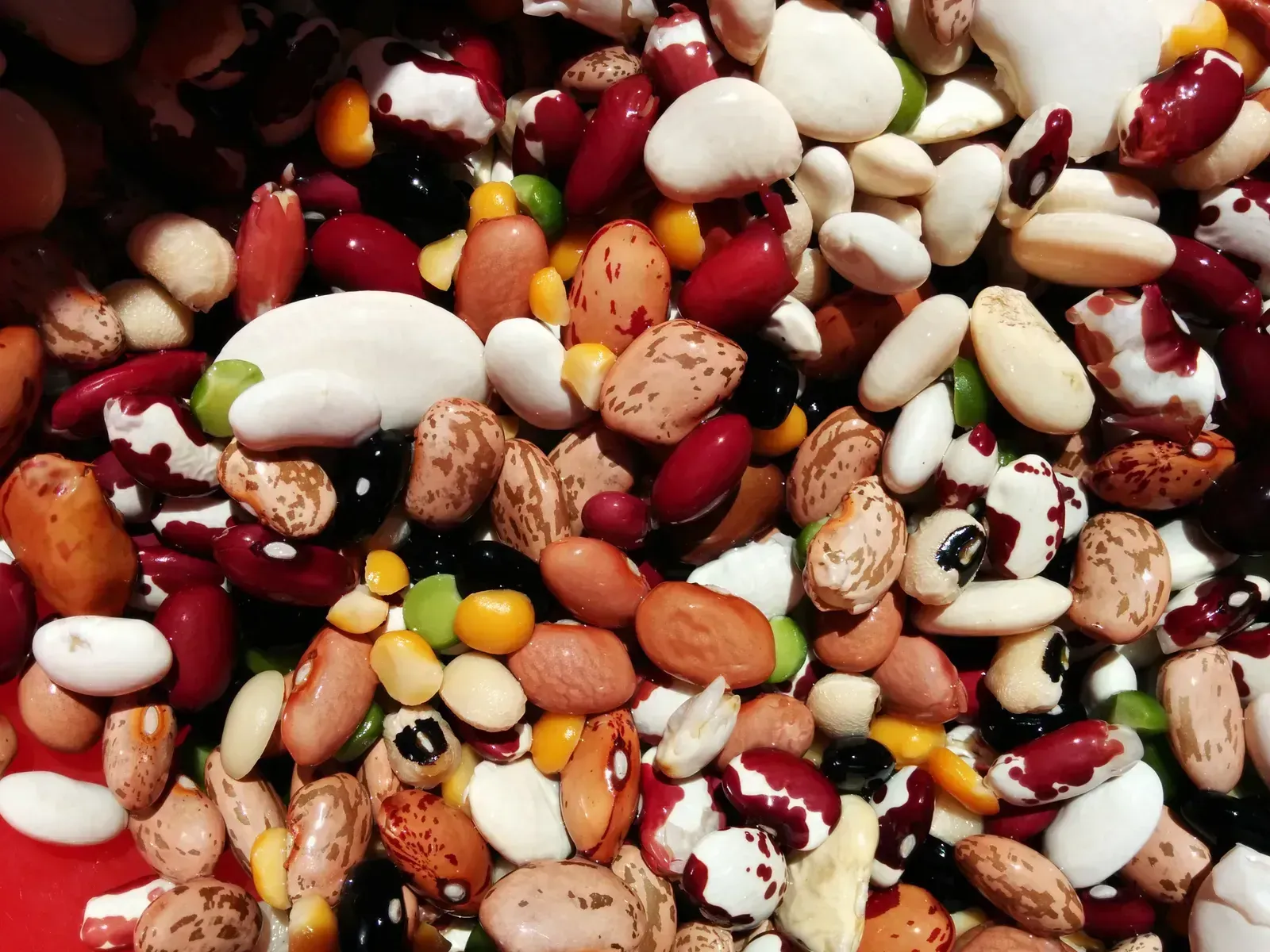 2. Split Peas (By QuimGil, CC BY-SA 3.0)
