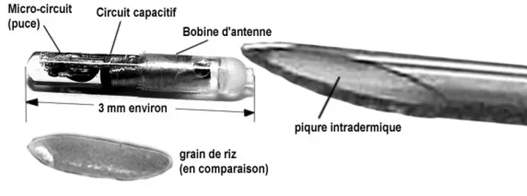 What Information Is Stored on the Chip (adapté de "Nanoinformatique et intelligence ambiante - Inventer l'ordinateur du XXIème Siècle" Jean-Baptiste Waldner, Hermes Science, London, 2007, CC BY 2.5)