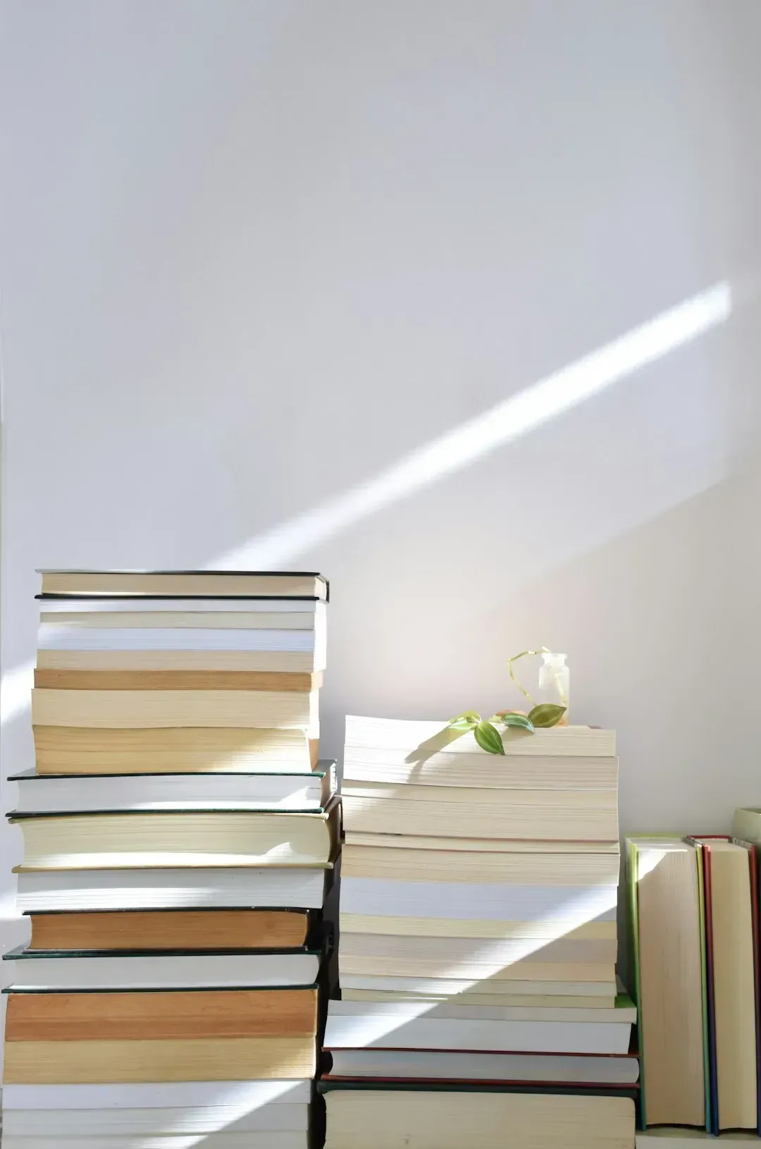 6. Books with personal inscriptions or annotations (Image Credits: Unsplash)