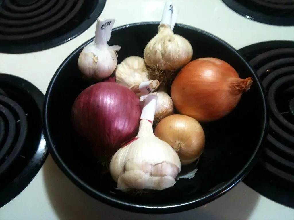 4. Onions, garlic, and other alliums (JSF539, Flickr, CC BY-SA 2.0)