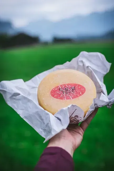 The bottom line on wax paper versus plastic (Image Credits: Pexels)