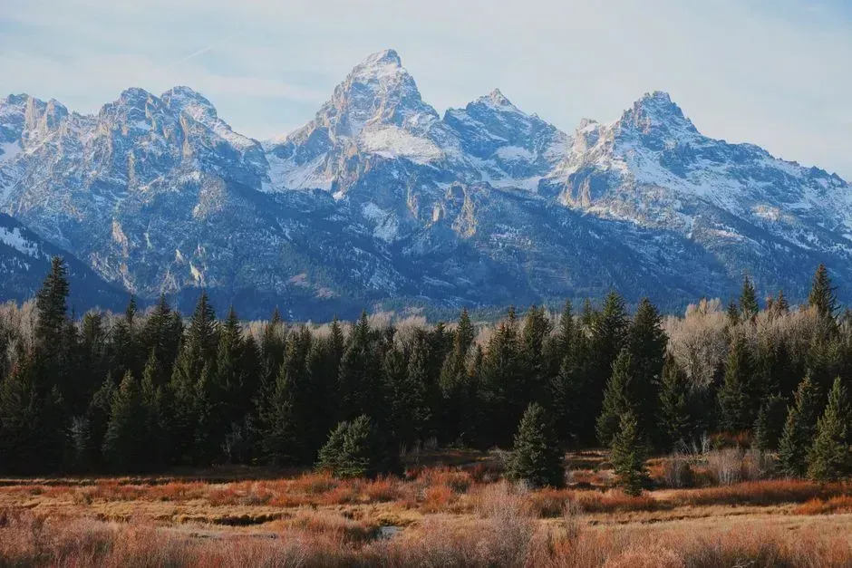 3. Jackson Hole, Wyoming (Image Credits: Pexels)