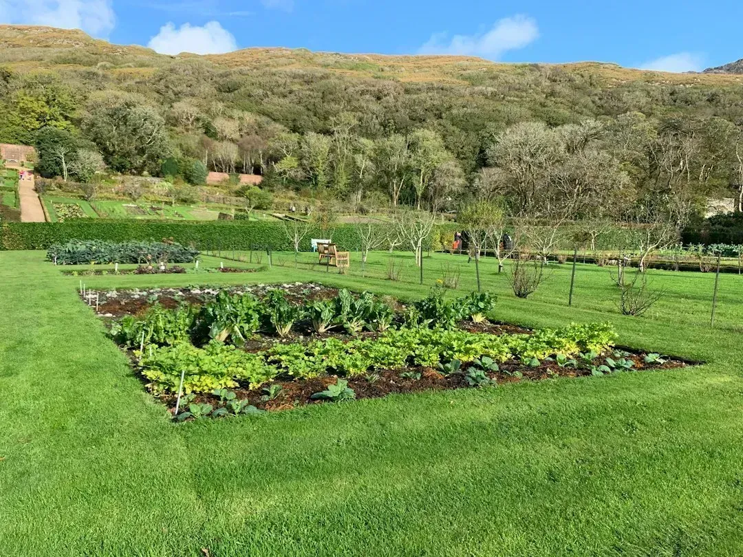 Victory Garden (Image Credits: Unsplash)