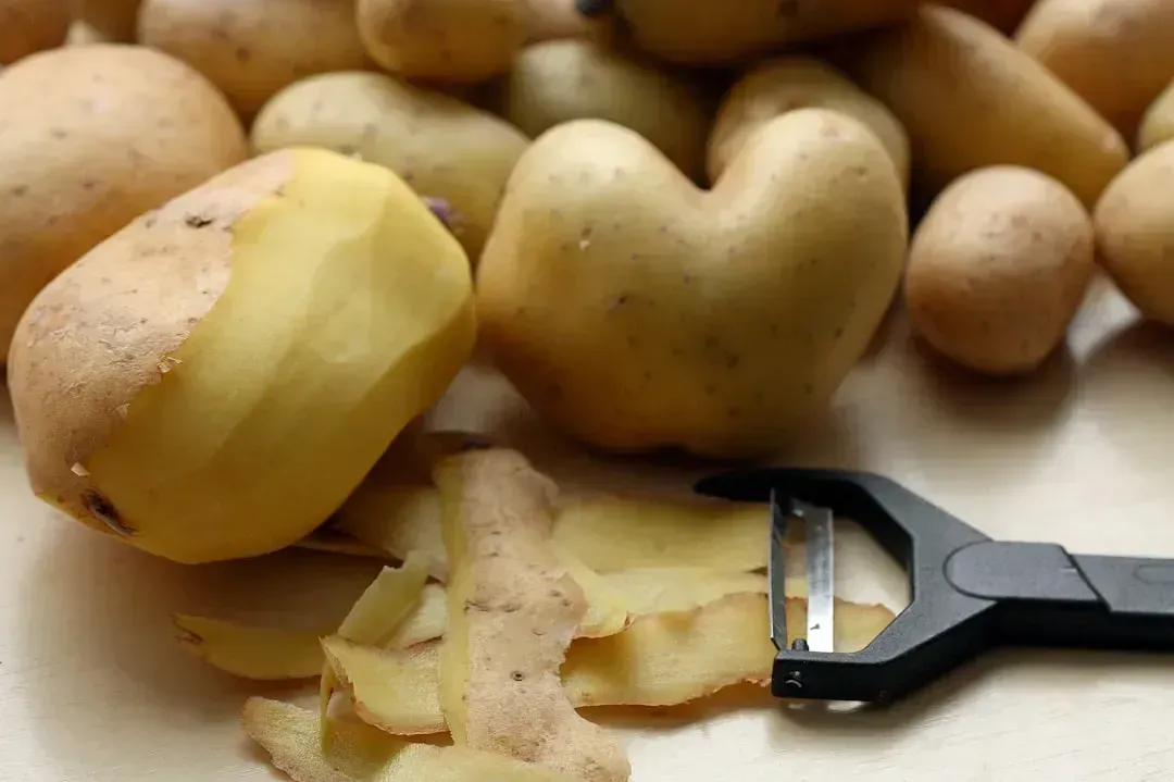8. Fibrous Vegetables and Potato Peels (Image Credits: Unsplash)
