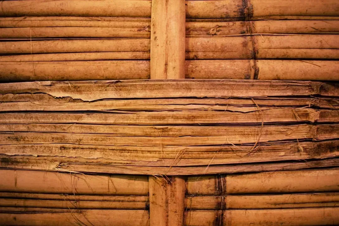 2. Bamboo (Image Credits: Unsplash)