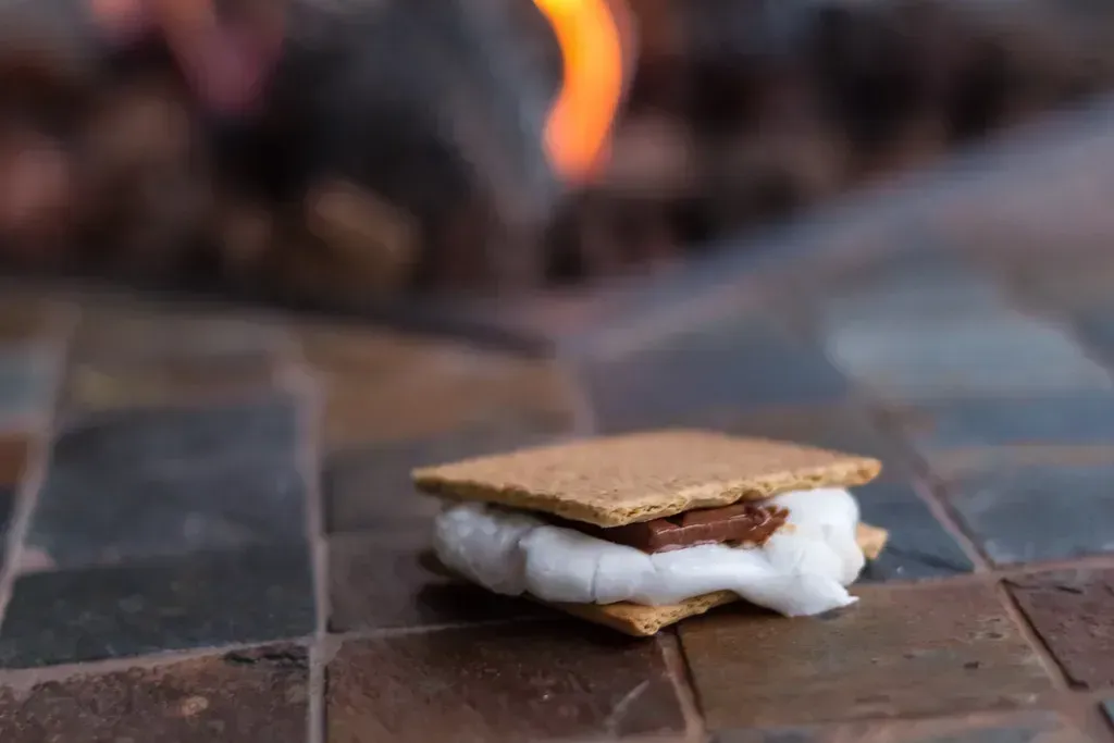 6. S'mores (smith_family, Flickr, CC BY 2.0)
