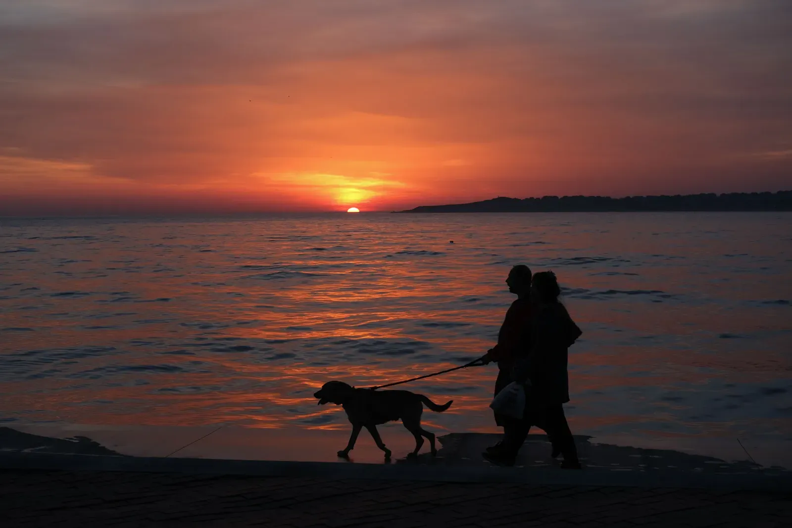 What's One Thing You'd Like Us to Do More Often? (Image Credits: Pexels)