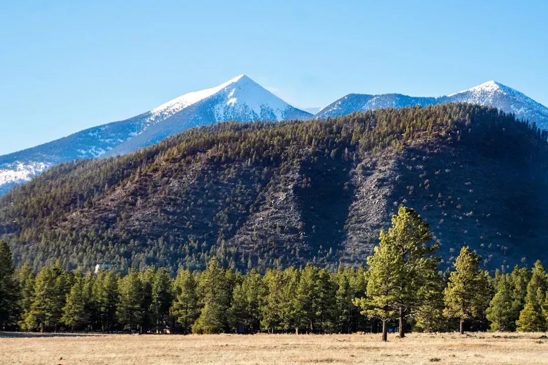 Flagstaff, Arizona - Grand Canyon's Underrated Neighbor (Image Credits: Unsplash)